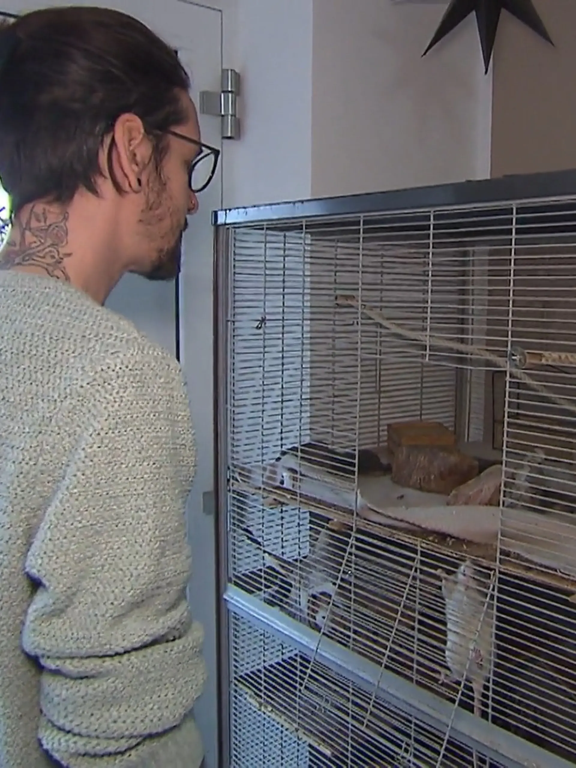 Bild zu: "Basti lebt mit 8 Ratten zusammen"