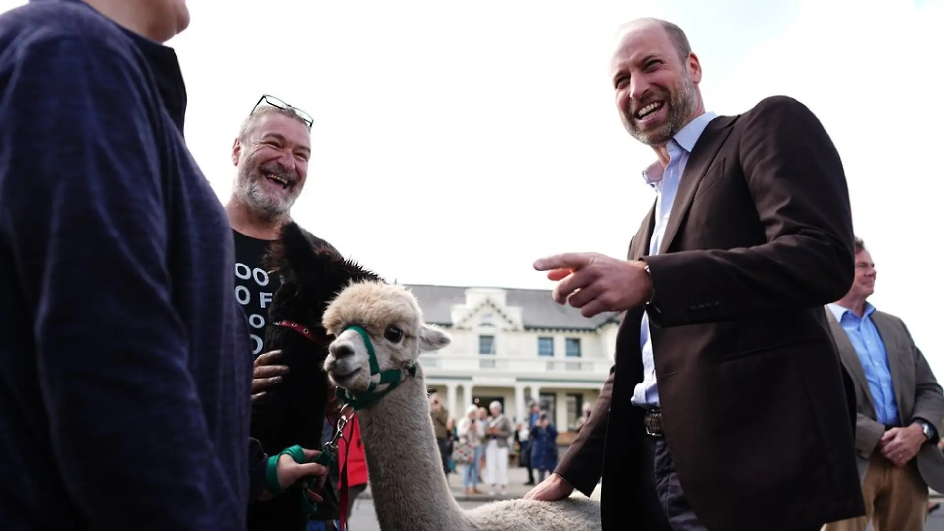 Prinz William hat am Dienstag Dartmoor in der Grafschaft Devon besucht und traf dabei neben Bürgerinnen und Bürgern auch Alpakas.