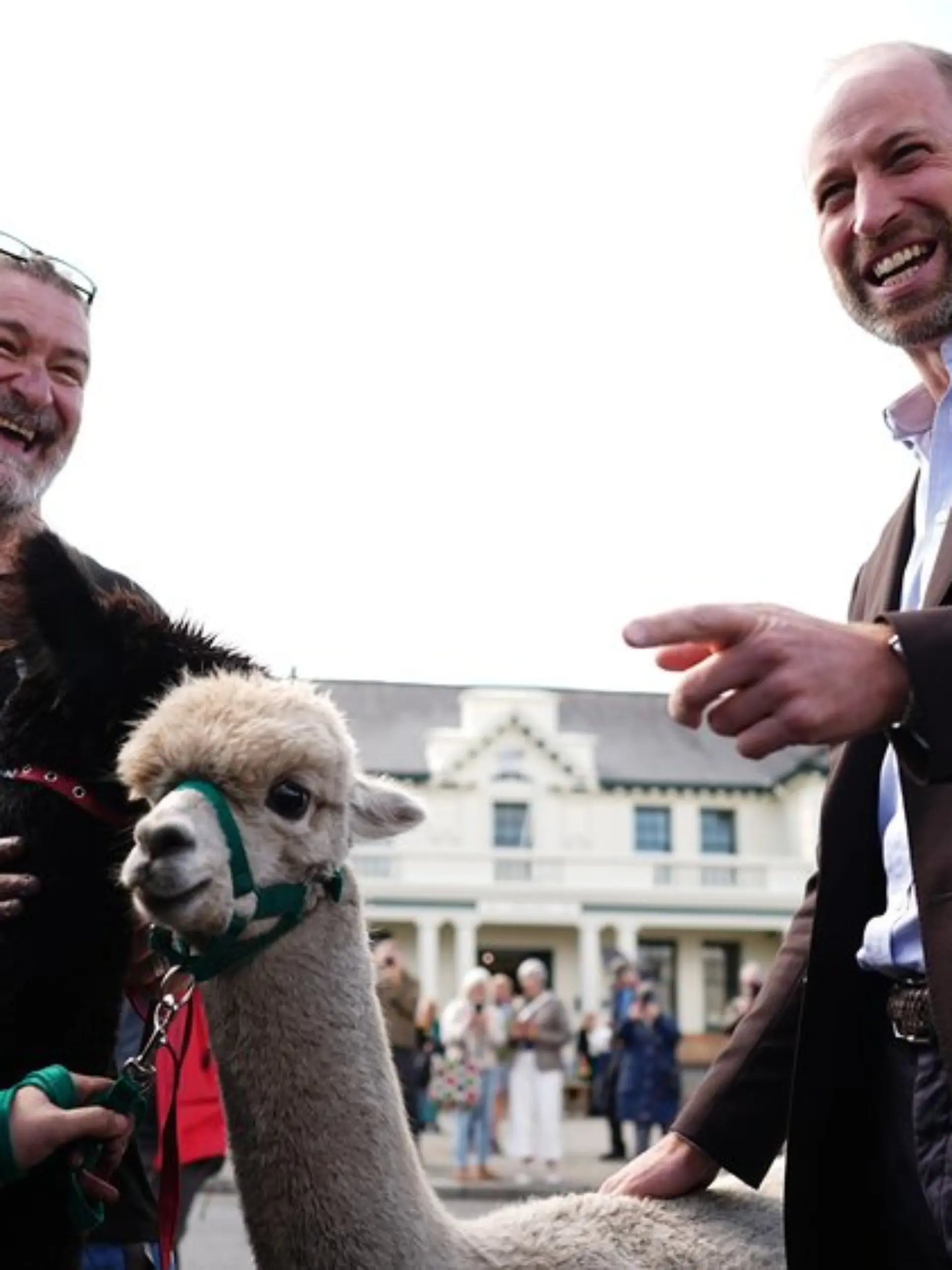 Prinz William hat am Dienstag Dartmoor in der Grafschaft Devon besucht und traf dabei neben Bürgerinnen und Bürgern auch Alpakas.