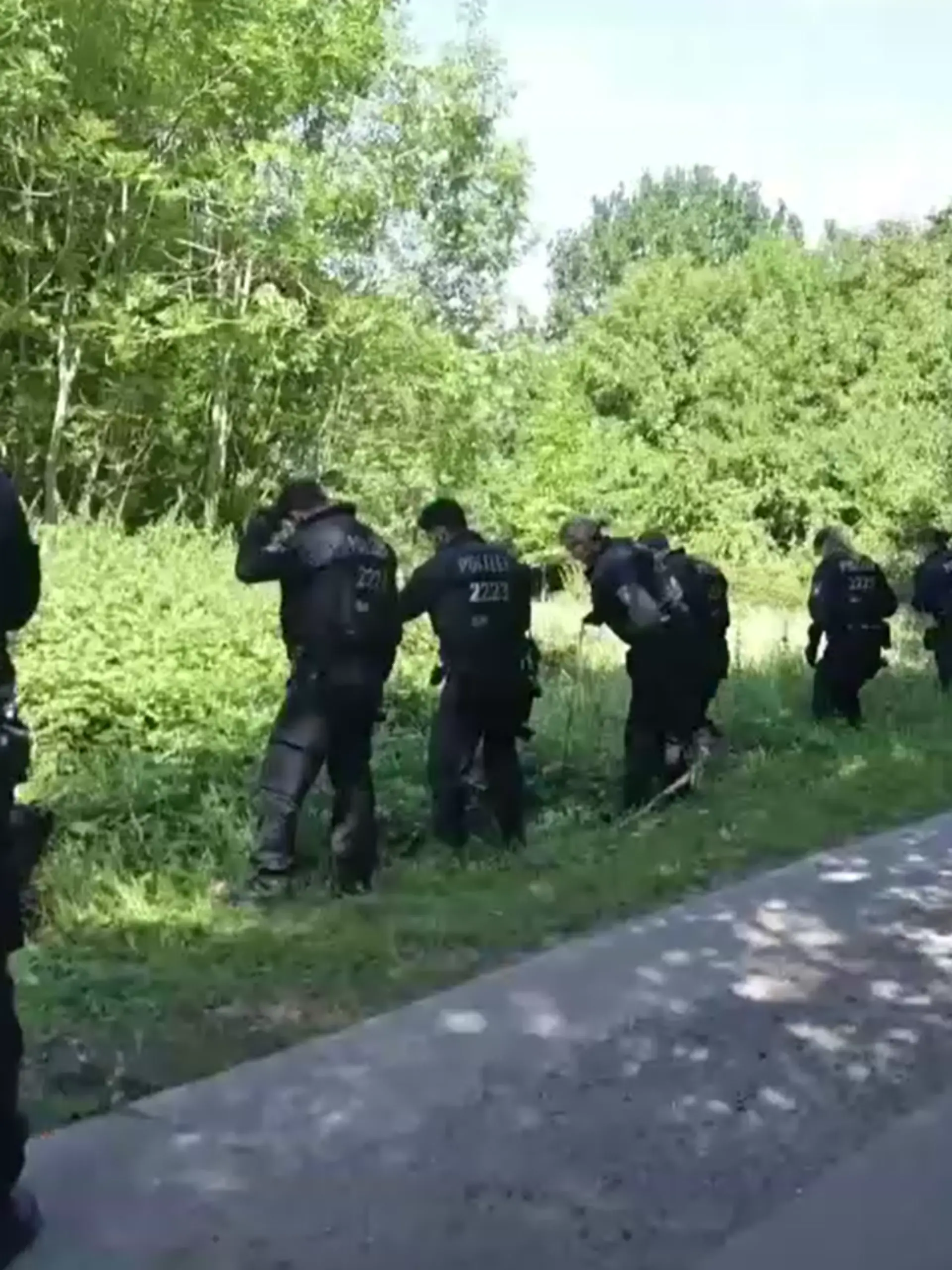 Bild zu: "Jäger findet Leichenteile im Wald! Das ist der aktuelle Stand"