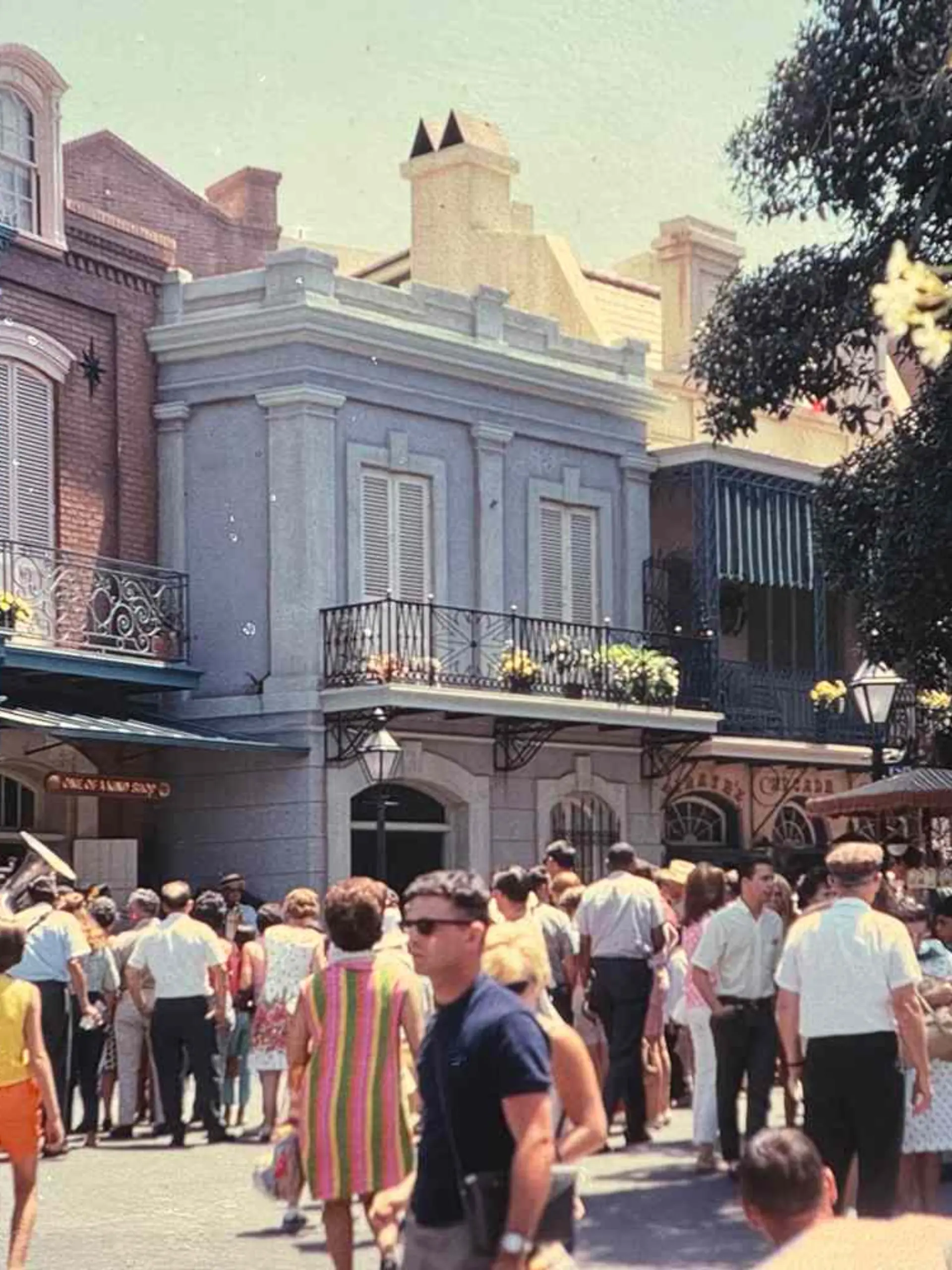 USA: Disneyland-Foto von 1968 sorgt für Zeitreise-Rätsel
