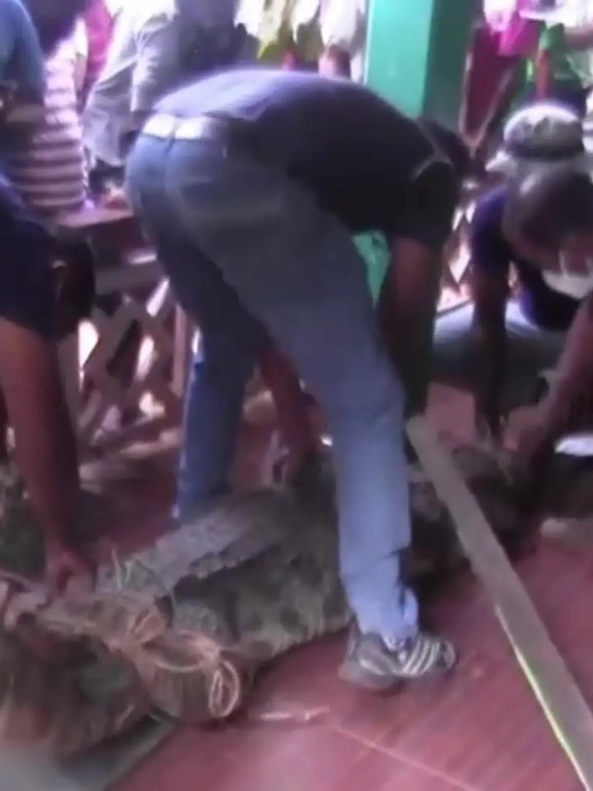 In Sri Lanka findet ein Mädchen ein Krokodil vor der Haustür. Das Reptil wird von Helfern gefangen genommen.