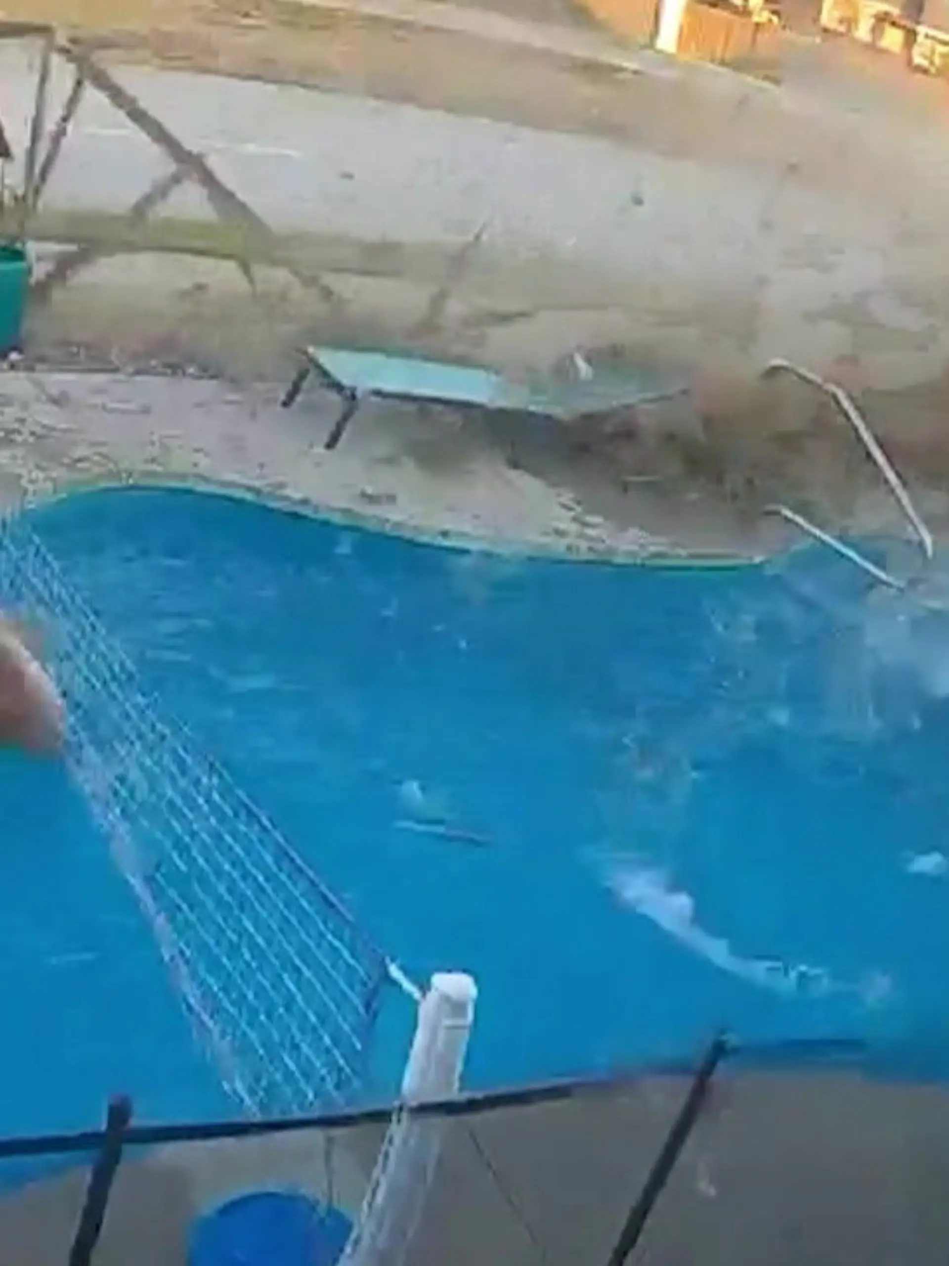 Bild zu: "Kinder planschen im Pool – plötzlich schießt Auto durch Gartenzaun!"
