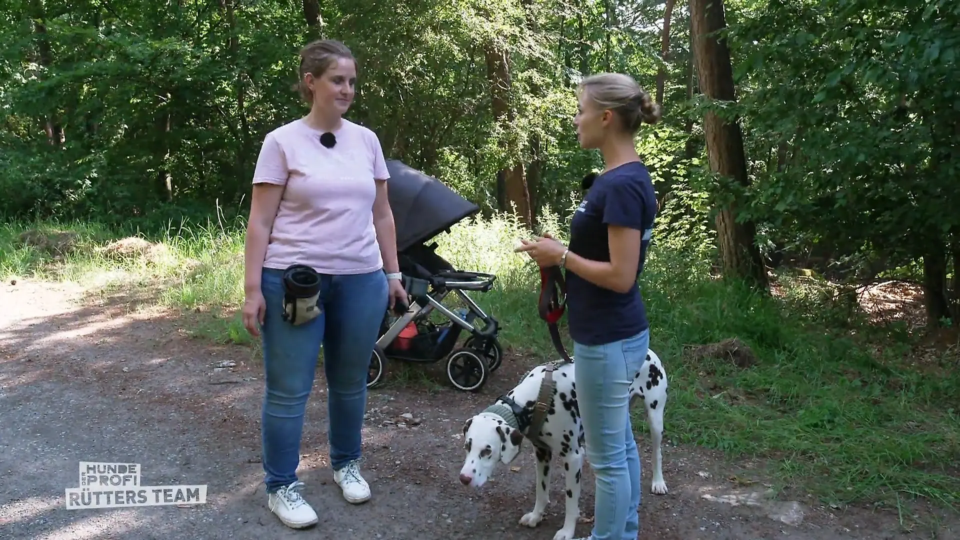 Kann Sophie Schäfer das Randalieren stoppen? Attacken an der Leine