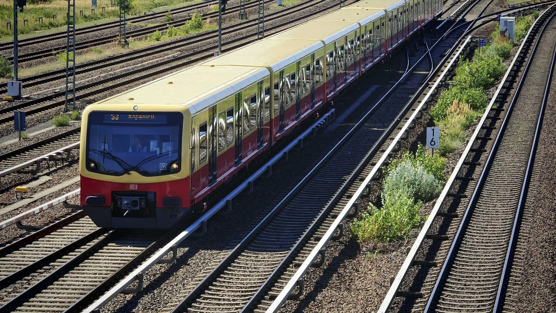 Roter Zug auf Eisenbahnschienen umgeben von Vegetation in städtischer Umgebung, Berlin