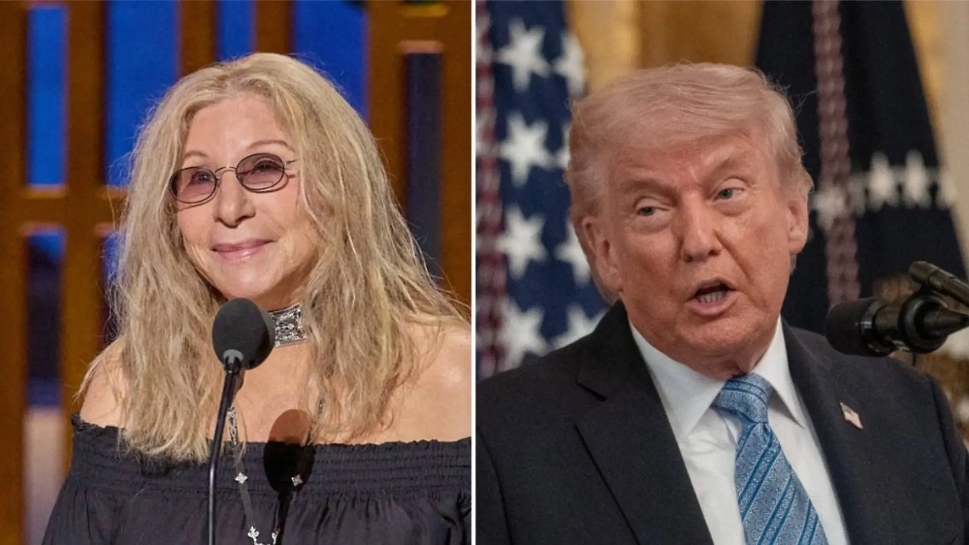 Barbra Streisand ist kein Fan von Donald Trump.