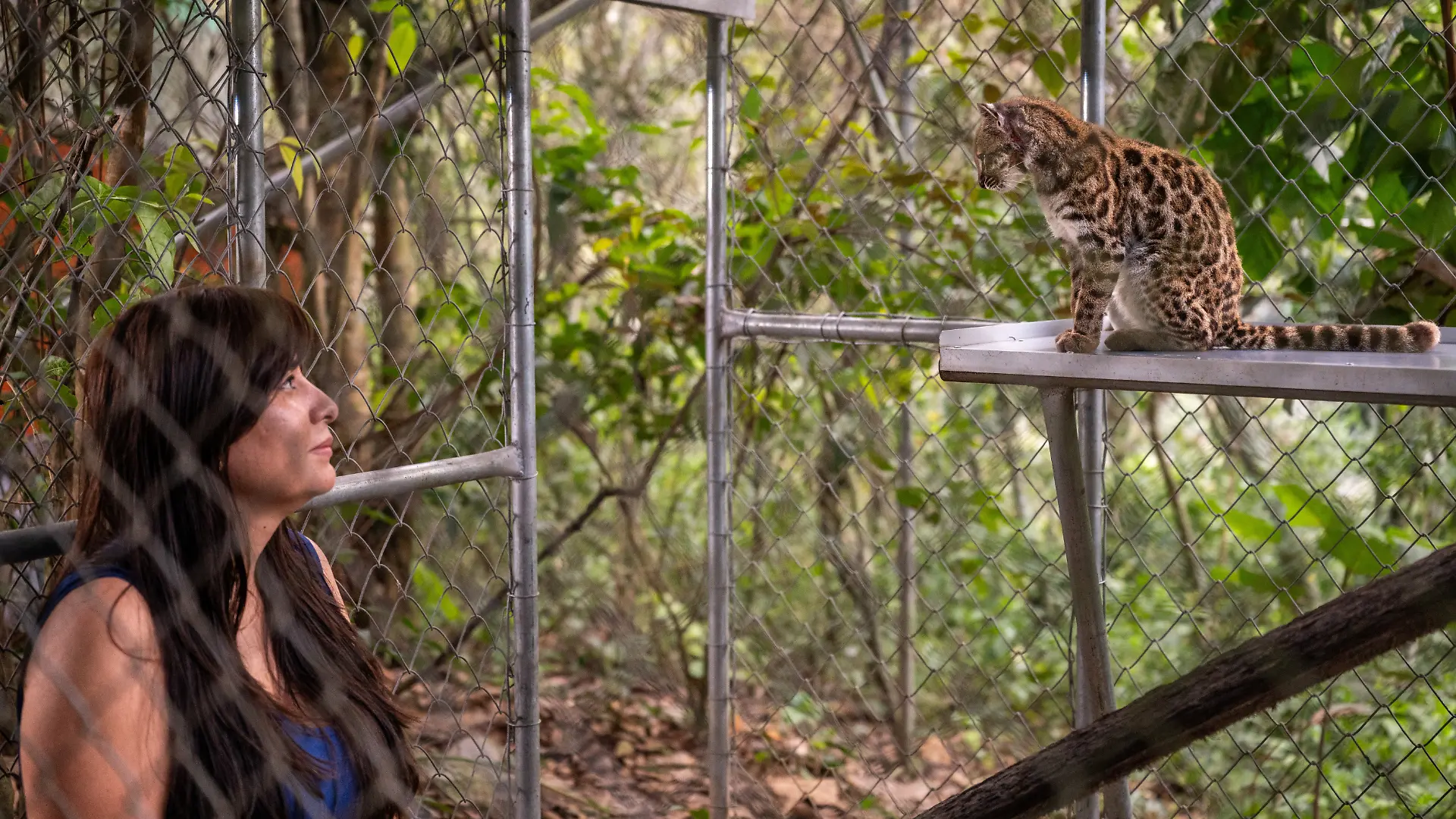 Die National-Geographic-Entdeckerin Paola Nogales-Ascarrunz steht neben der Katze, der sie vor zehn Jahren zum ersten Mal begegnet ist.