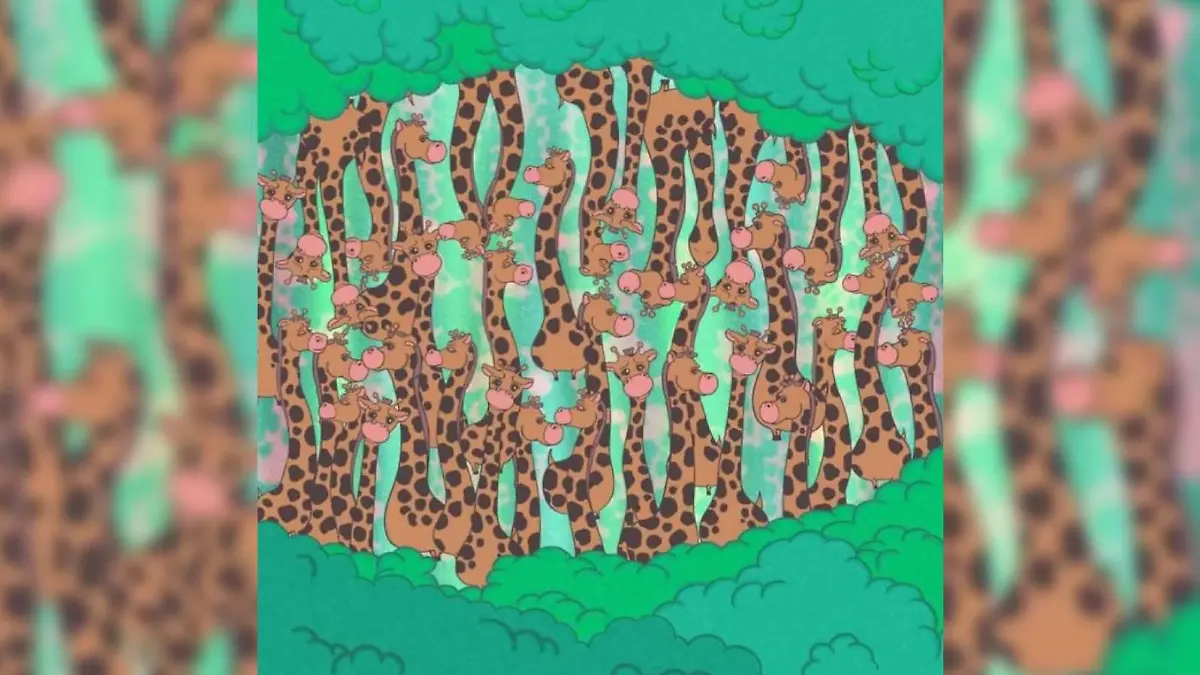Suchbild Schlange inmitten von Giraffen