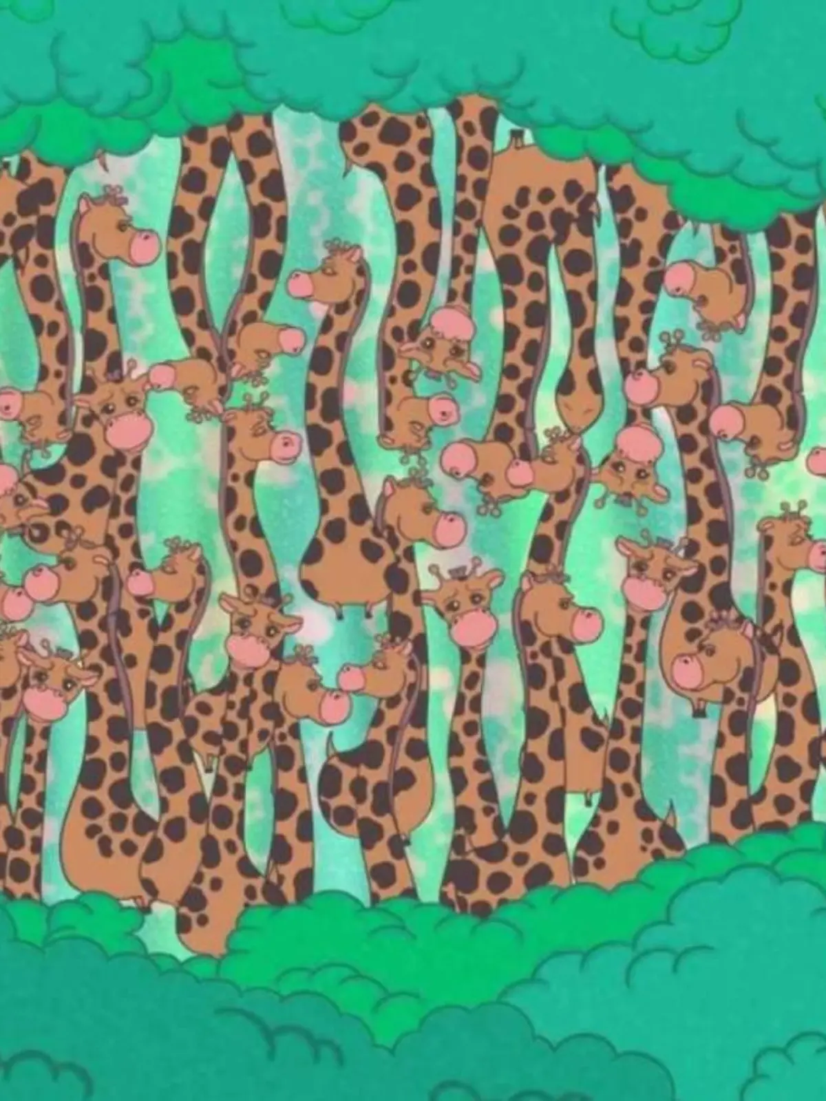 Suchbild Schlange inmitten von Giraffen