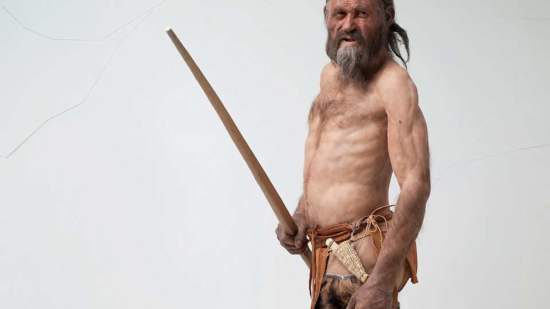 ARCHIV - Das undatierte Handout des Südtiroler Archäologiemuseums in Bozen zeigt eine Rekonstruktion des Gletschermannes Ötzi. ACHTUNG: Nur zur redaktionellen Verwendung und nur bei Nennung: "Foto «Südtiroler Archäologiemuseum/Ochsenreiter/dpa» (Zu dpa "Grässliche Leiche im Steinzeit-Stress - Kurioses um den Ötzi" vom 09.09.2016) +++ dpa-Bildfunk +++