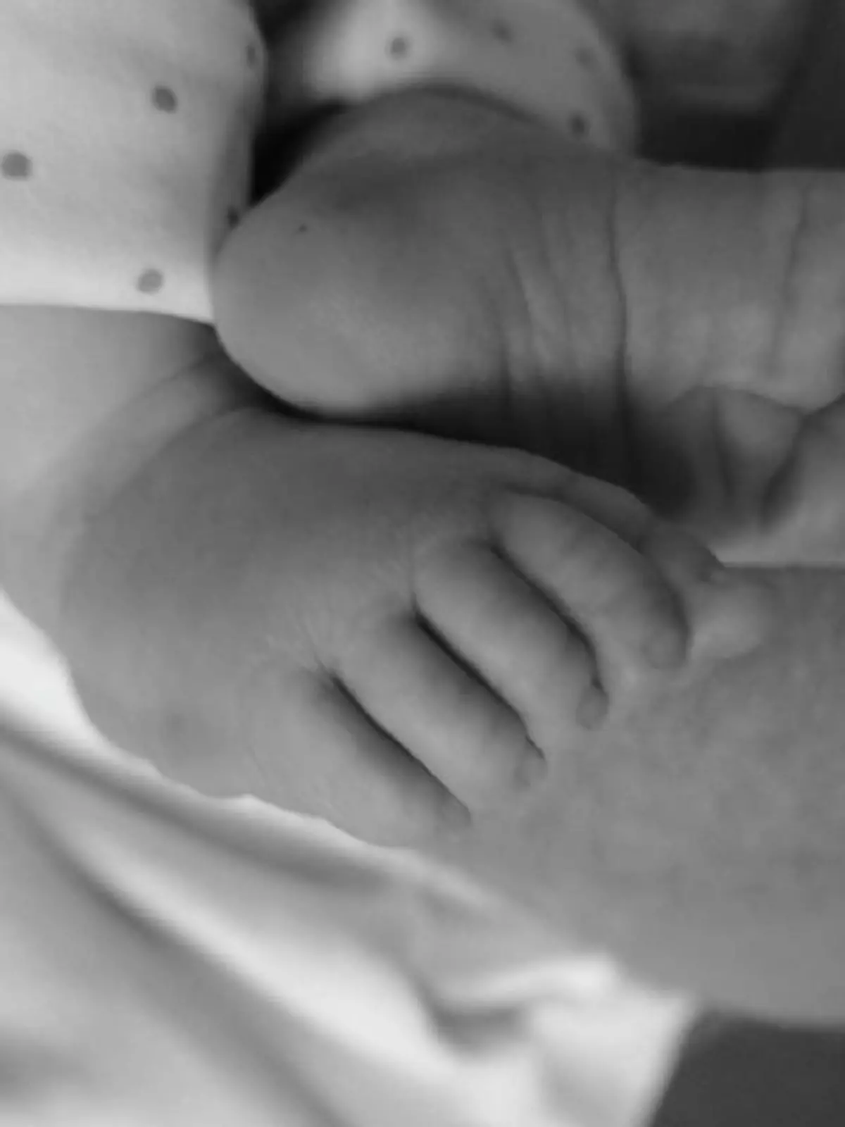 Eishockey-Profi David Pastrnak trauert um sein Baby