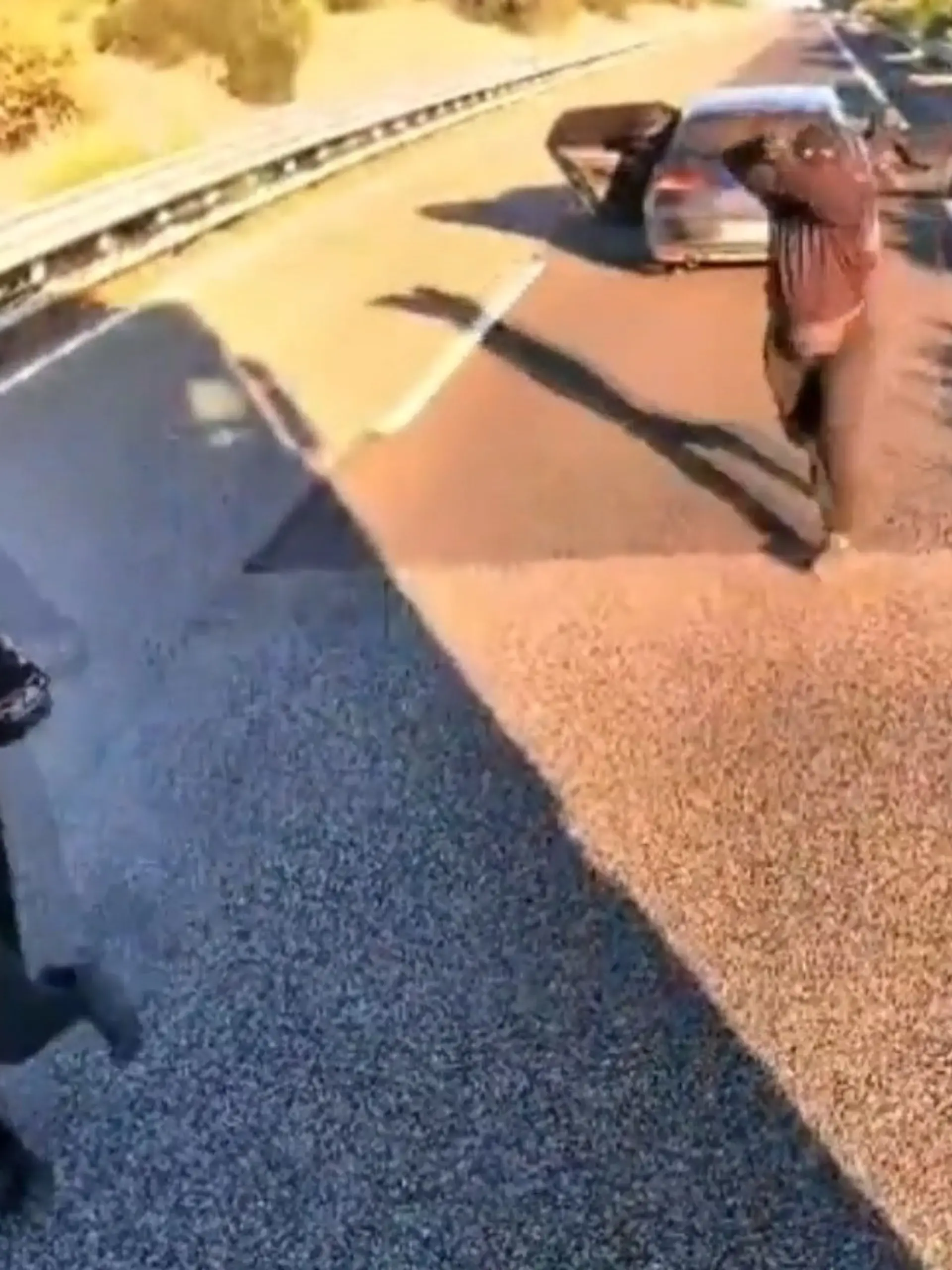 Bild zu: "Mitten auf der Autobahn! Bewaffnete Räuber überfallen Lkw"