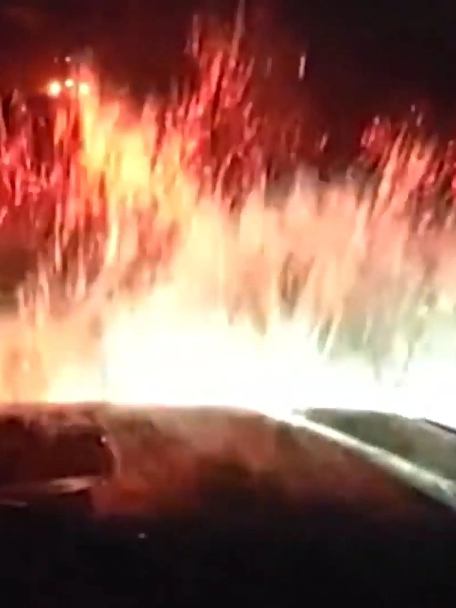 Bild zu: "Auf der Flucht vor der Polizei! Teenager rasen mit Vollgas in den See"