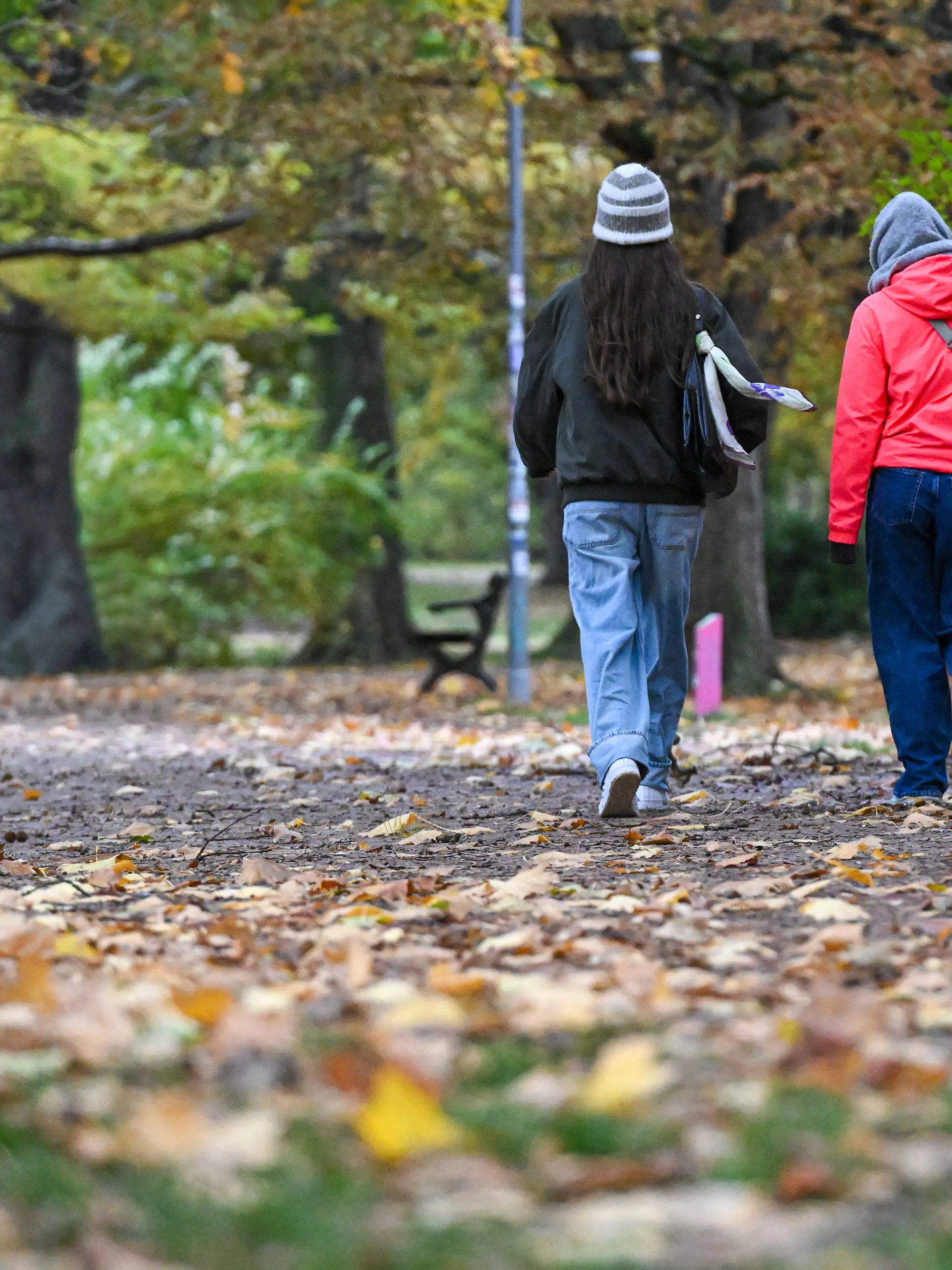 Leipzig - Goldene Herbststimmung über Leipzig: Bunte Blätter und kühle Temperaturen im Johannapark 26.10.2025 Leipzig, Johannapark Im Foto: zwei Frauen spazieren bei herbstlichem Wetter durch den Baum Wechselhaft zwischen Sonne, Wind und kurzen Regenschauern. Goldene Blätter, klare Luft und tief stehendes Licht prägen die Tage, während neblige Morgen und milde Nachmittage der Stadt eine besondere, stimmungsvolle Atmosphäre verleihen. Leipzig Sachsen Deutschland *** Leipzig Golden autumn mood over Leipzig Colorful leaves and cool temperatures in Johannapark 26 10 2025 Leipzig, Johannapark In the photo, two women walk through the tree in autumn weather Alternating between sun, wind and short rain showers Golden leaves, clear air and Copyright: xEHLxMedia/Erik-HolmxLanghofx 20251026_herbstwetter-leipzig_17