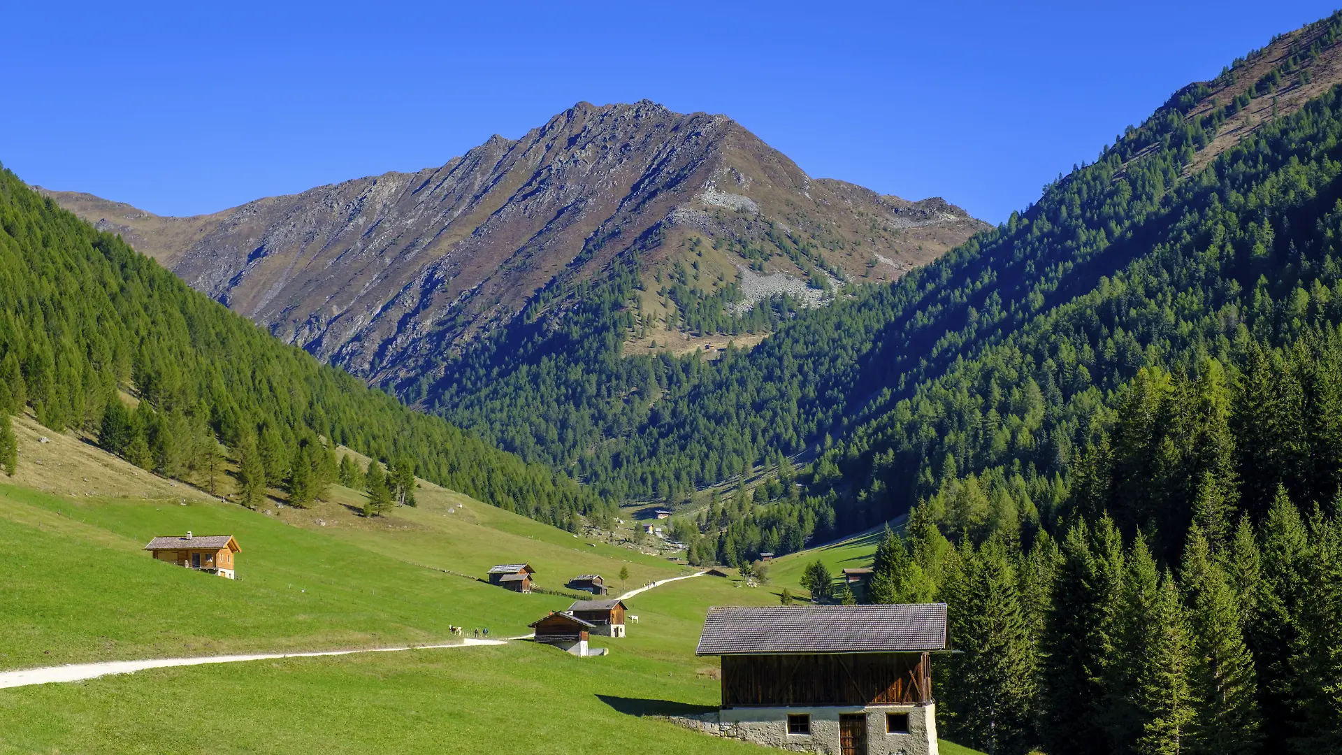 Bei Meransen, Altfasstal, Pustertal, Südtirol, Italien