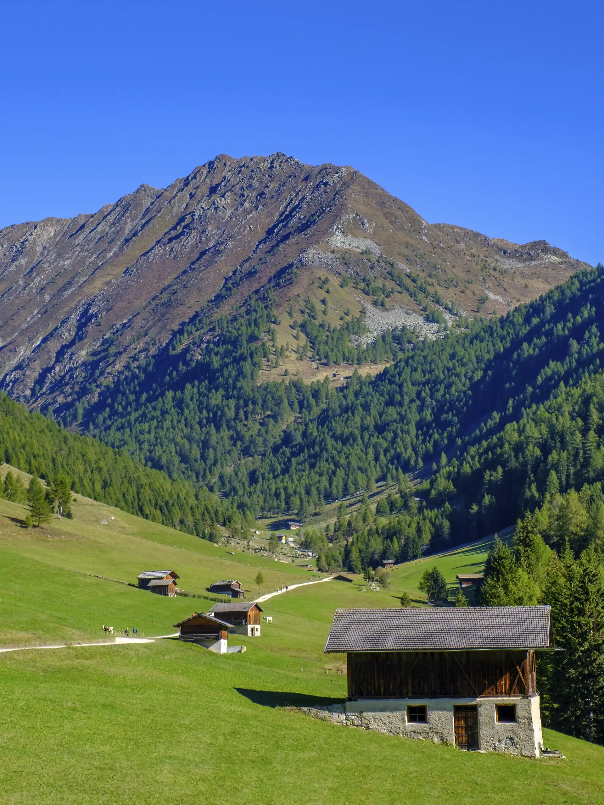 Bei Meransen, Altfasstal, Pustertal, Südtirol, Italien