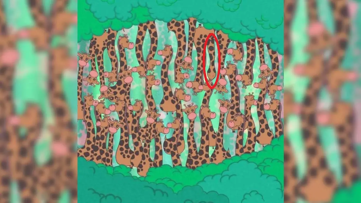 Suchbild Giraffe und Schlange