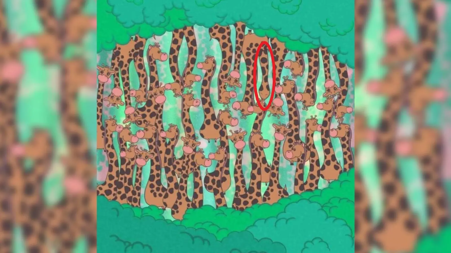 Suchbild Giraffe und Schlange
