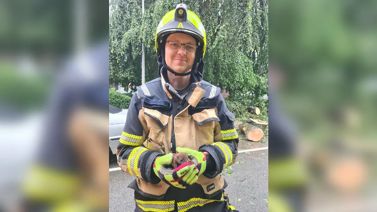 Gerettetes Eichhörnchen-Baby mit Feuerwehrmann