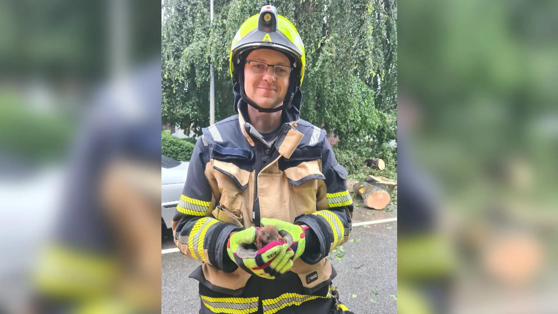 Gerettetes Eichhörnchen-Baby mit Feuerwehrmann
