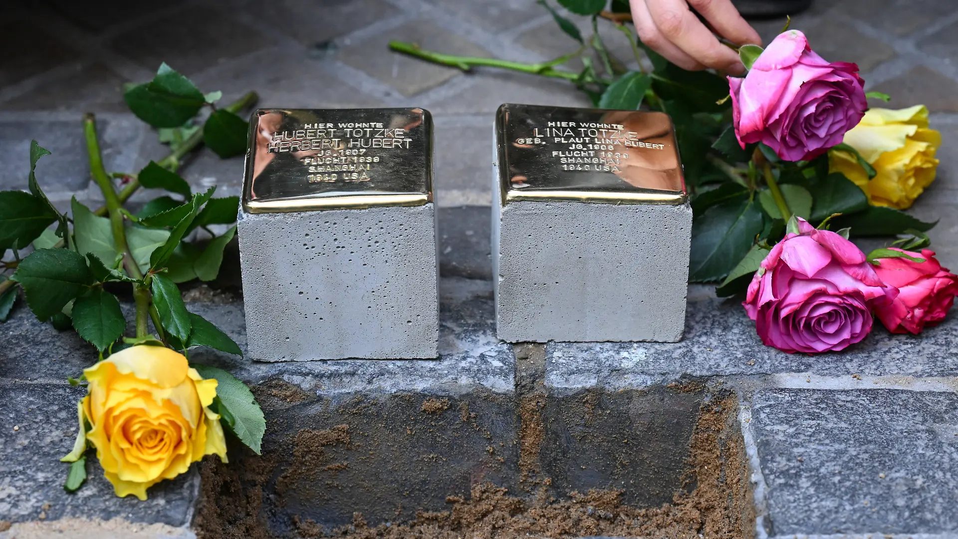 ARCHIV - 21.04.2026, Sachsen-Anhalt, Halle (Saale): Zwei neue Stolpersteine werden im Stadtzentrum zum Gedenken an das Ehepaar Hubert und Lina Totzke verlegt. (Archivbild) (zu dpa: «CDU und AfD wollen Stolpersteine in Heidenau ablehnen») Foto: Hendrik Schmidt/dpa +++ dpa-Bildfunk +++