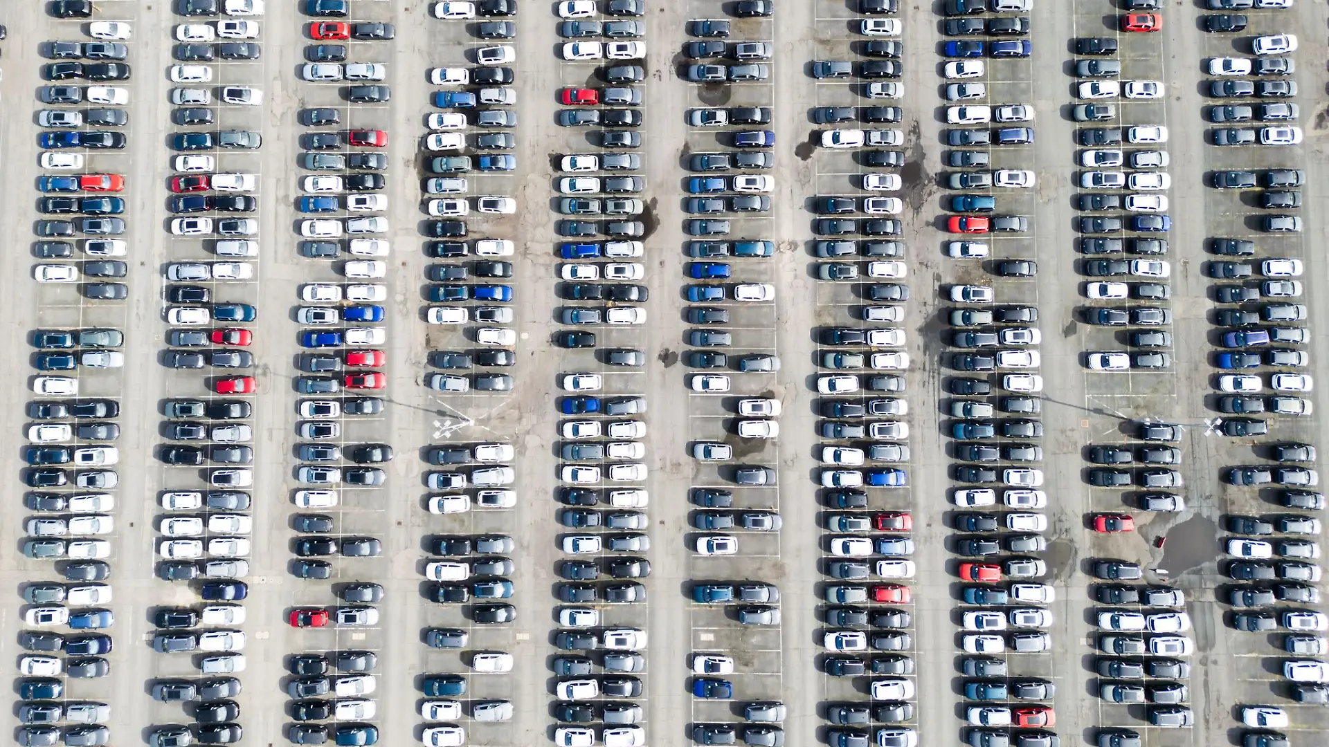 Viele bunte Neuwagen - viele Fragen: Was bedeutet die neue Norm Euro 7 für Autofahrer?