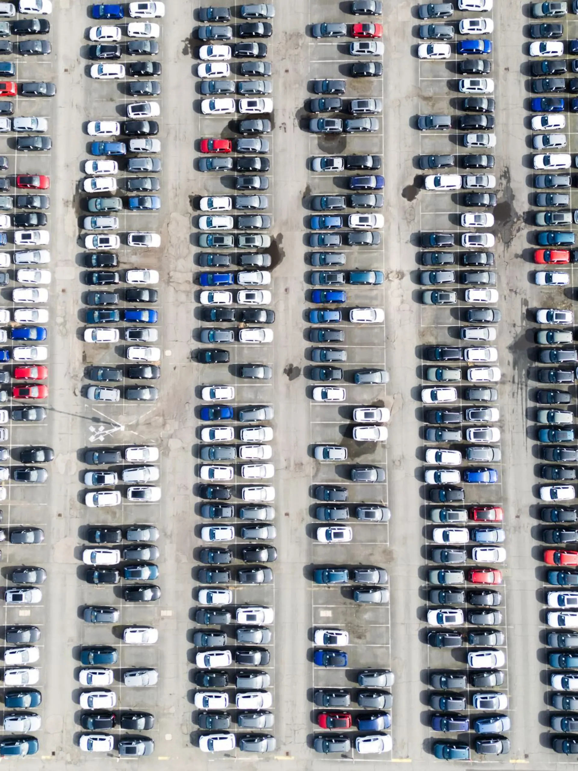 Viele bunte Neuwagen - viele Fragen: Was bedeutet die neue Norm Euro 7 für Autofahrer?