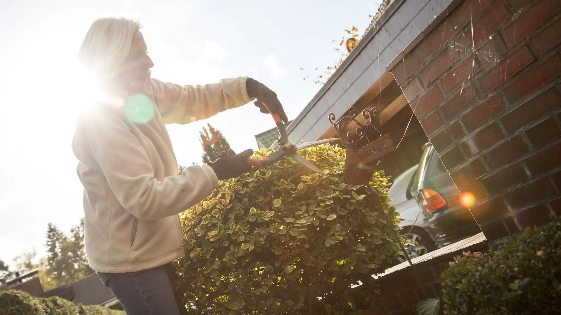 Hecken sollten erst im Herbst geschnitten werden, wenn das Wachstum abgeschlossen ist – für saubere Konturen in den Wintermonaten.