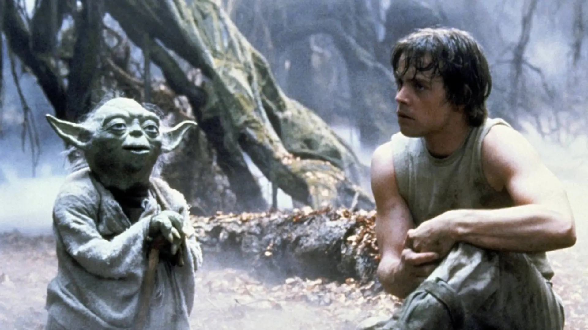 Die erste "Star Wars"-Trilogie erzählte die Heldenreise von Luke Skywalker (Mark Hamill, r.). Bald könnte die Familiensaga weitergehen.