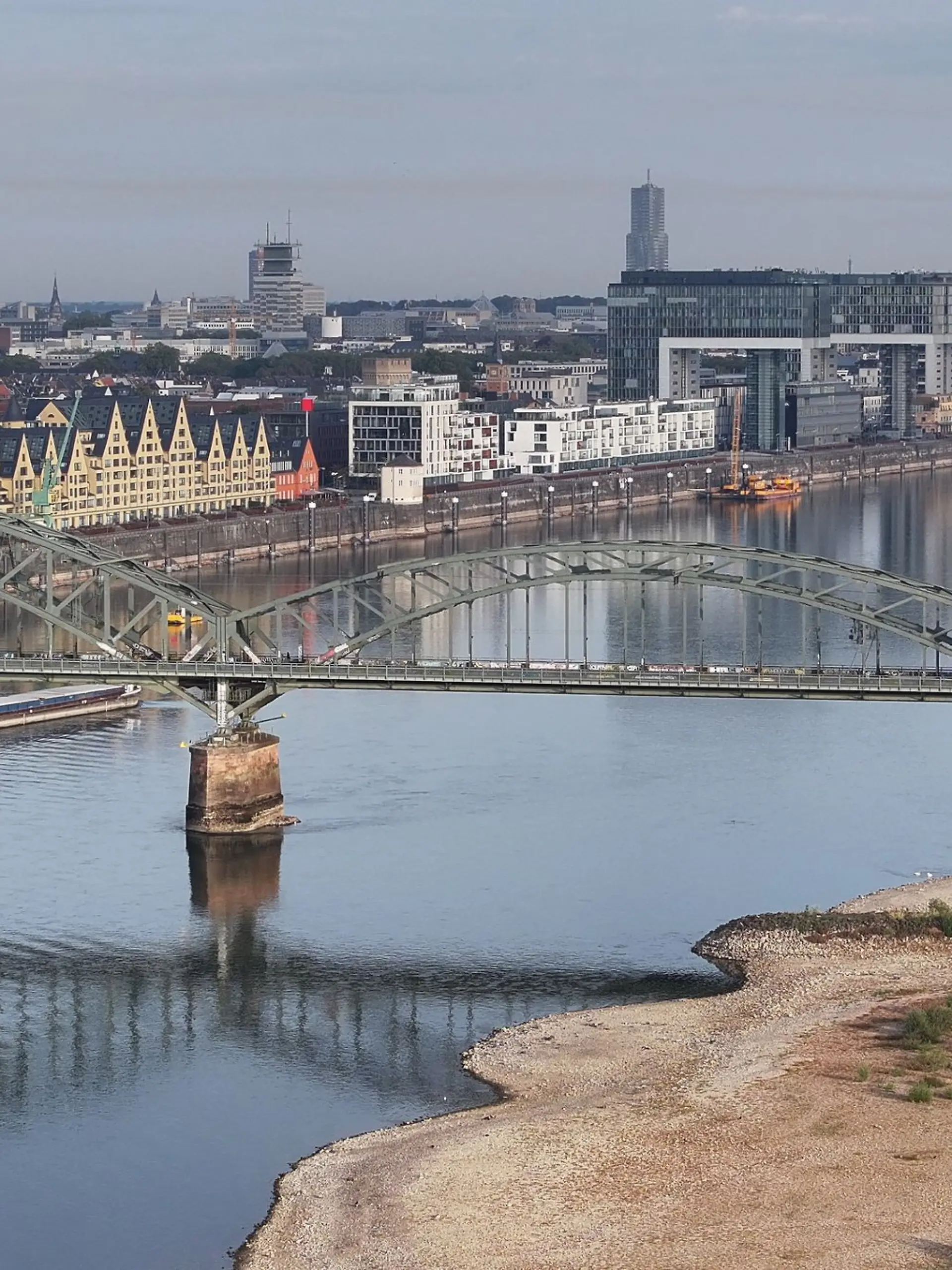 Bild zu: "Folgen des Niedrigwassers im Rhein"