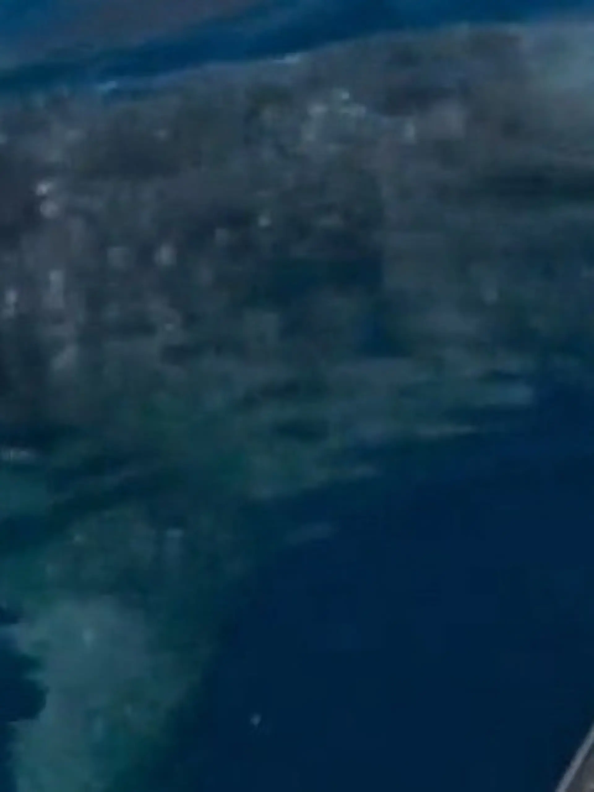 Bild zu: "XXL-Hai überrascht Angler! Seltene Sichtung vor der Küste"