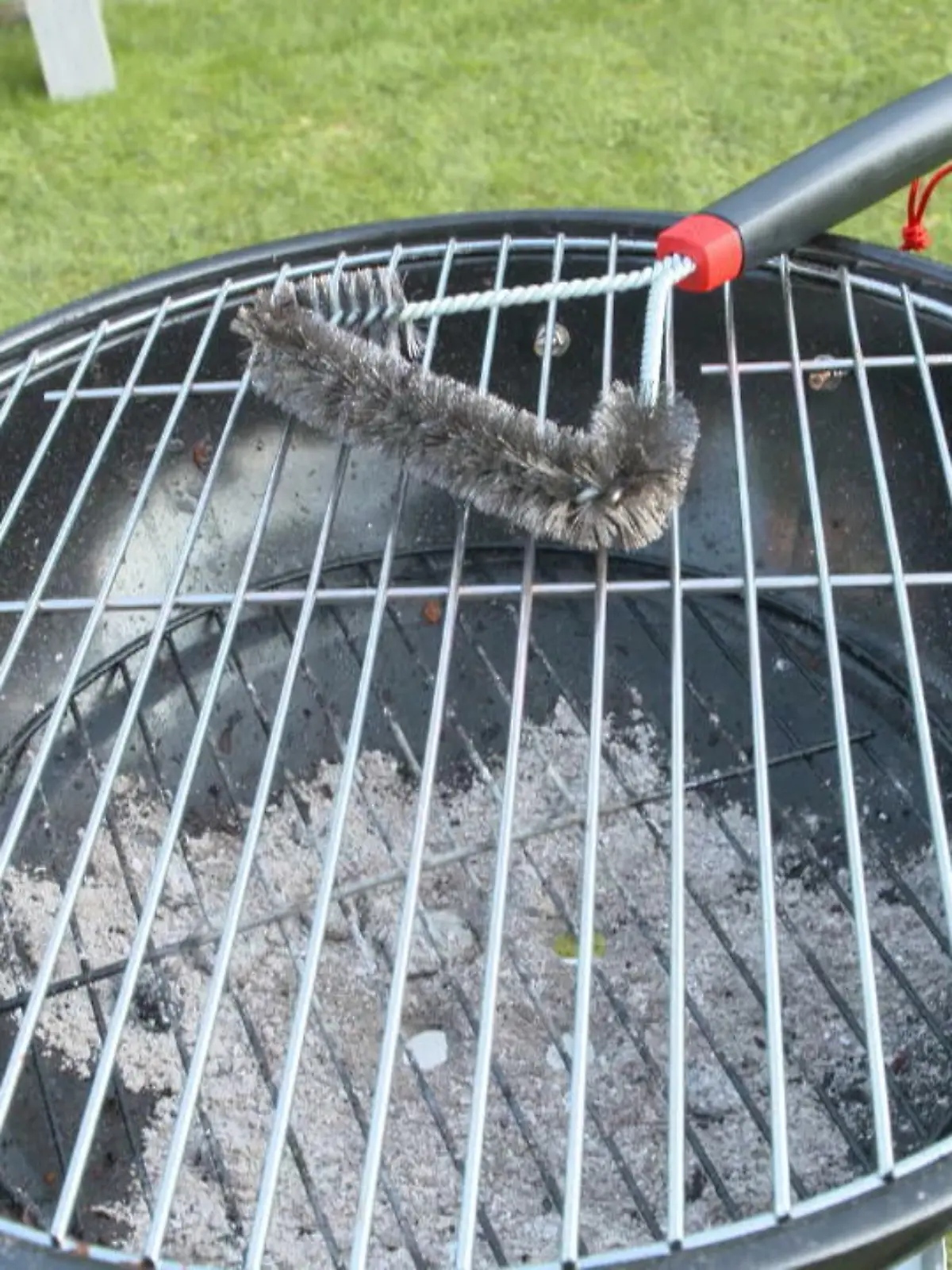 Bild zu: "Hausmittel oder Grillbürsten?"