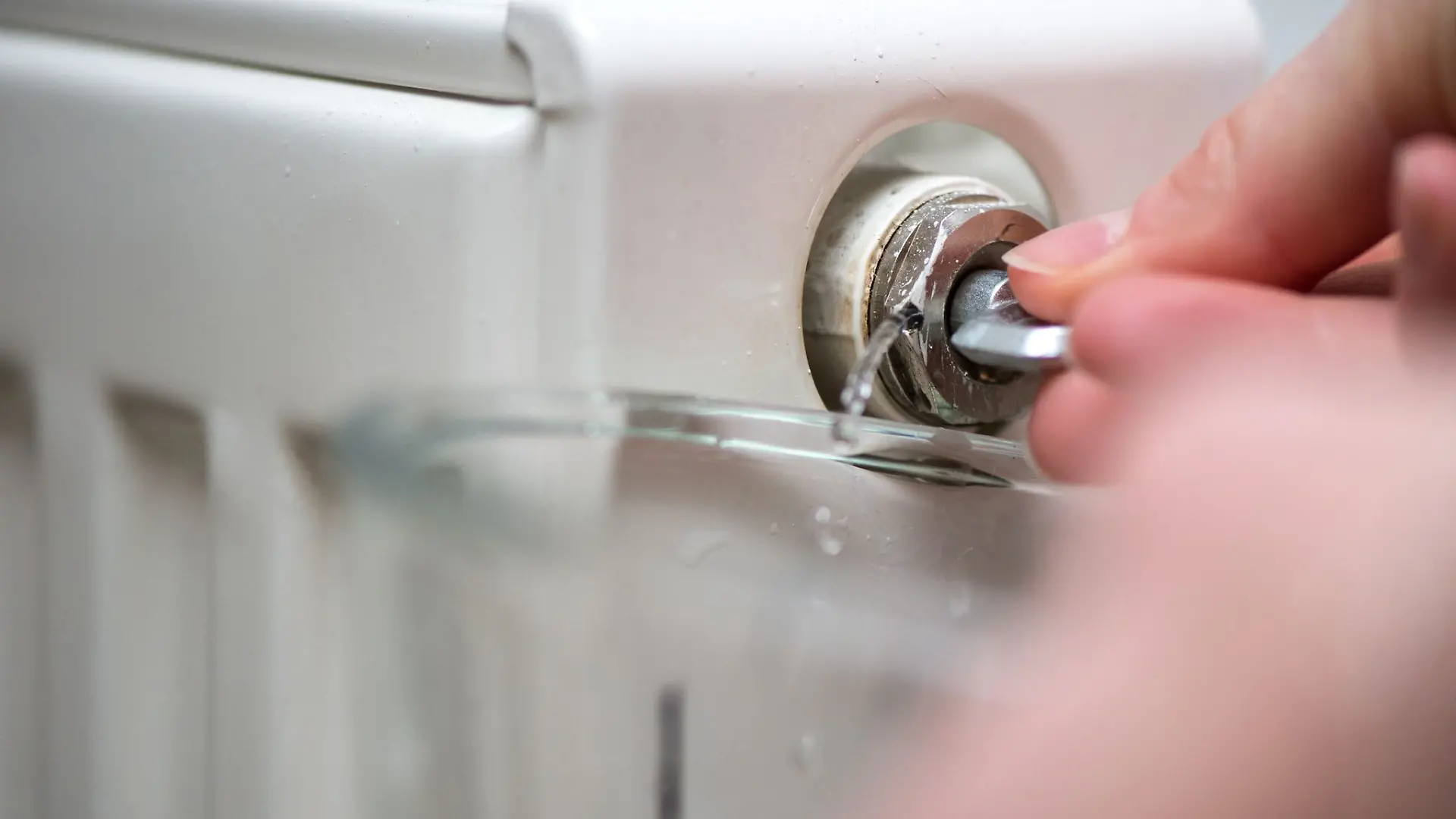 Das Heizungsventil sollte so lange offenbleiben, bis der Heizkörper nicht mehr gluckert - und ein durchgängiger Wasserstrahl kommt.