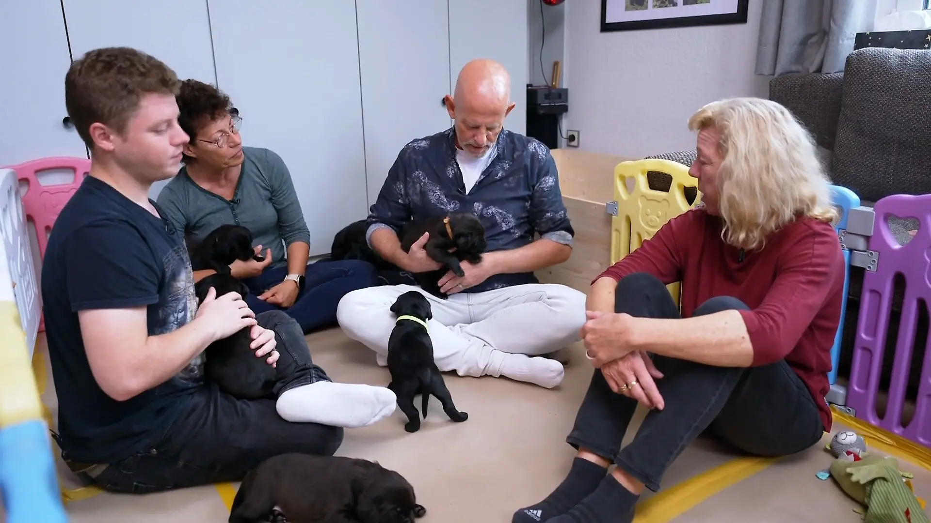 Familie Becker will gleich zwei Welpen adoptieren Doppelpack