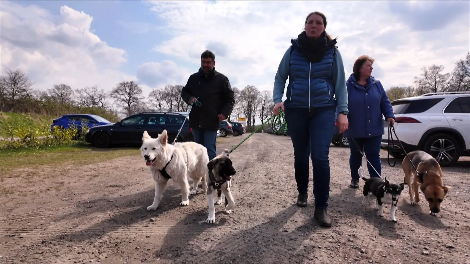 Welpe Luna besucht zum ersten Mal den Hundestrand Wie klappt das?