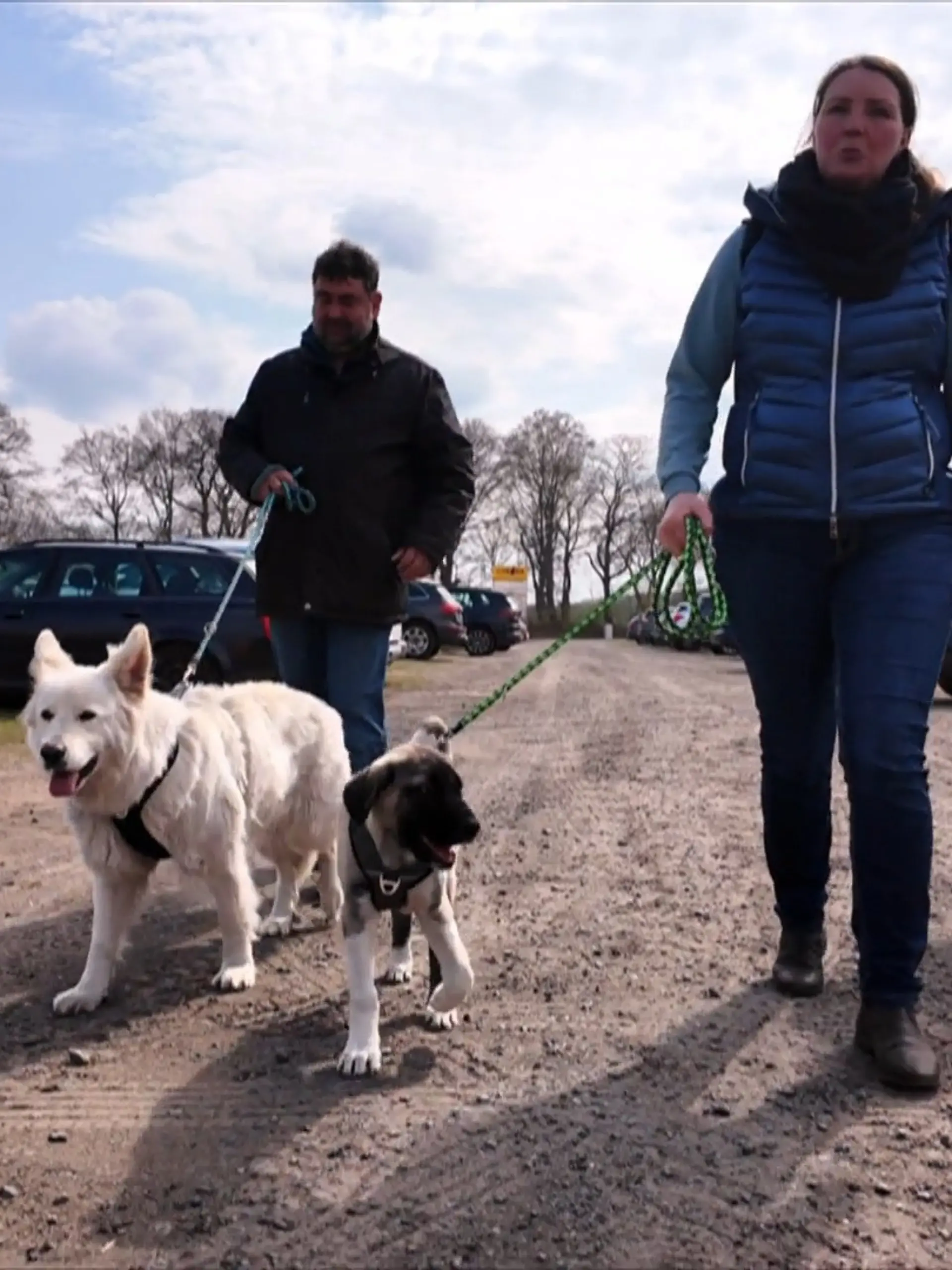 Bild zu: "Welpe Luna besucht zum ersten Mal den Hundestrand"