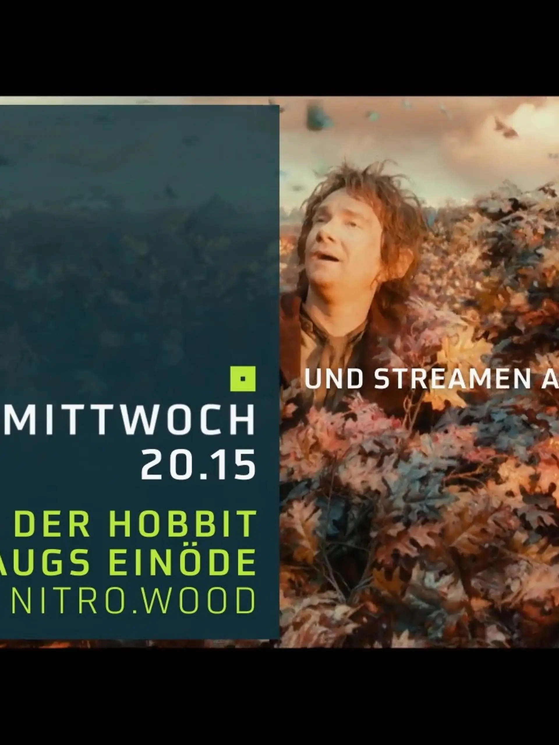 Bild zu: "Der Hobbit - Smaugs Einöde"