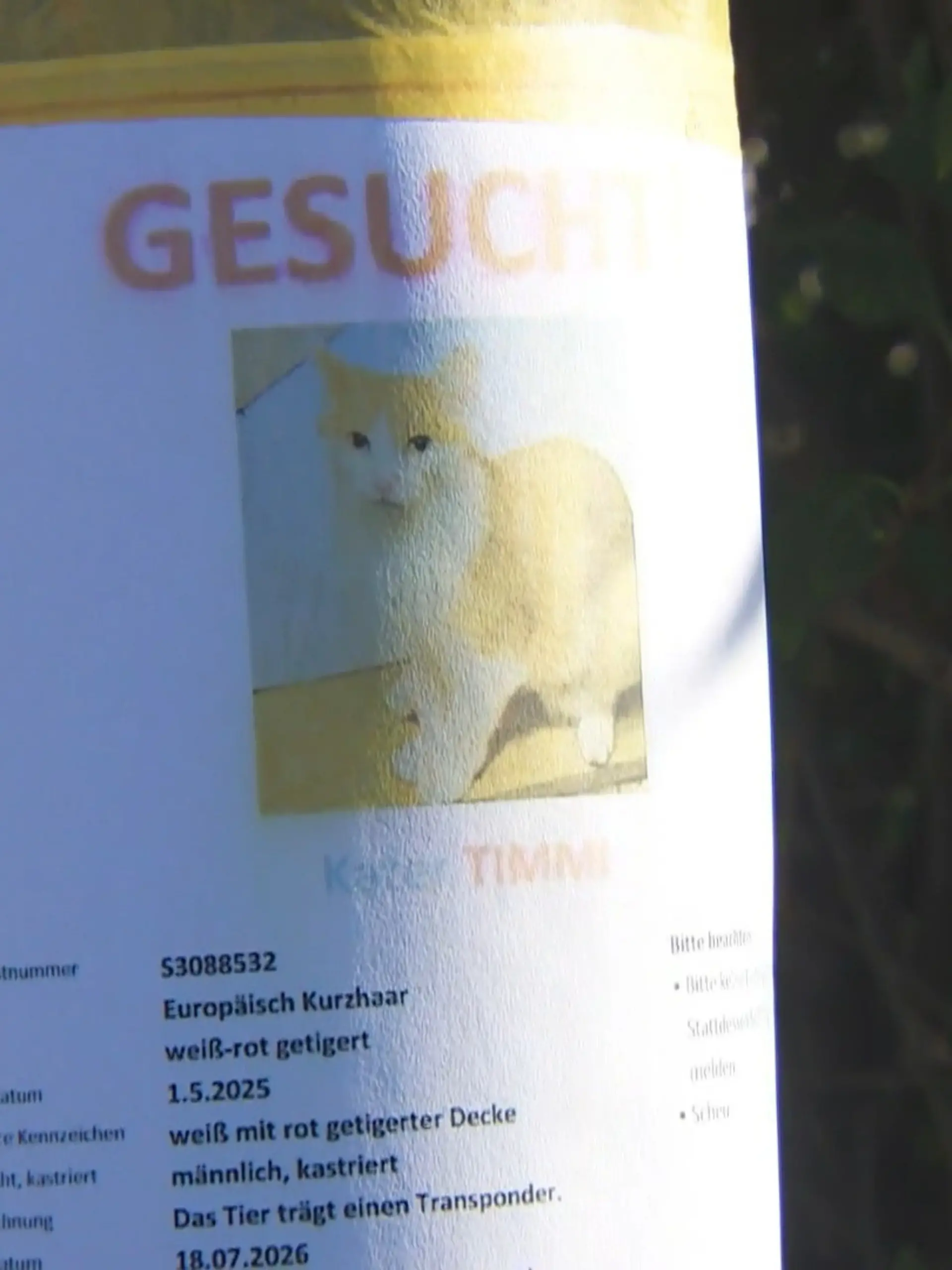 Bild zu: "14 Katzen tot oder verschwunden – Polizei ermittelt in Göttingen"