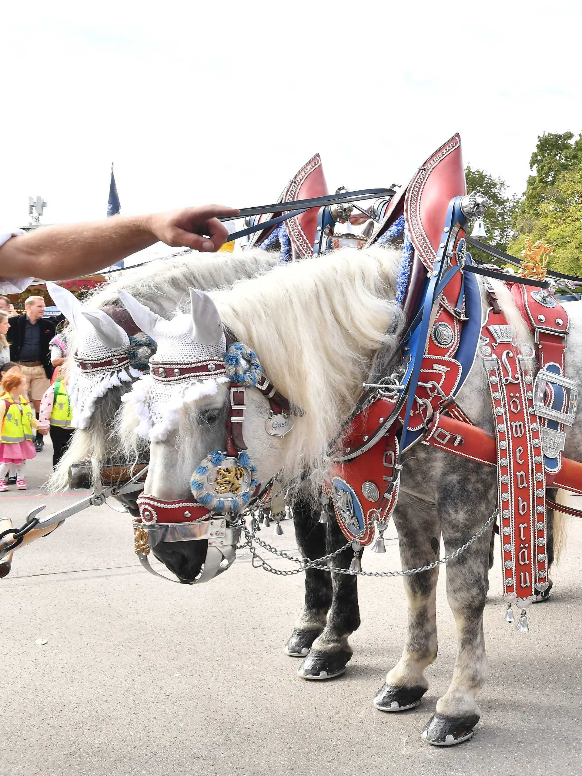 Bild zu: "Seniorin stirbt nach Pferdeunfall auf der Wiesn"
