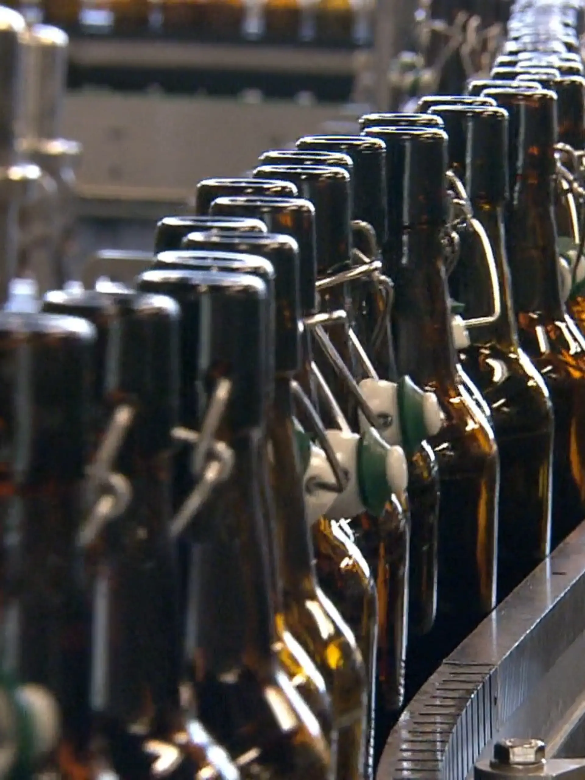 Bild zu: "Brauereien tüfteln am Bier der Zukunft"