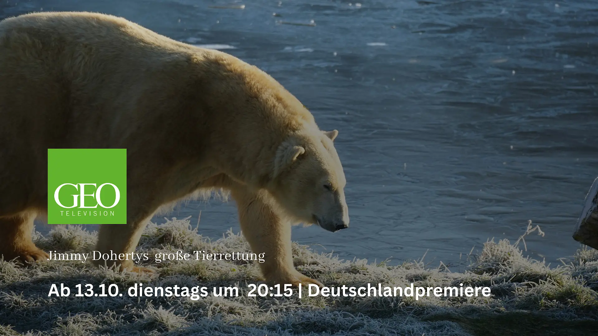 Jimmy Dohertys grosse Tierrettung