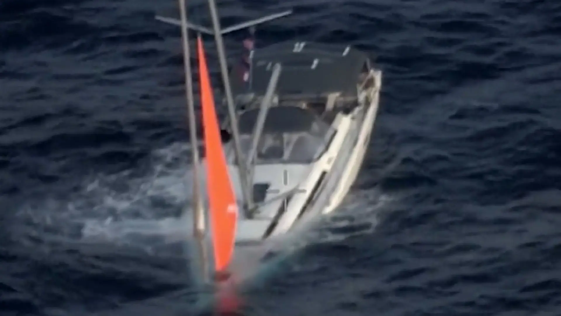 Nach Crash mit Wal! 15-Meter-Yacht sinkt – Segler in Todesangst  Ihnen bleibt nur eine Möglichkeit 
