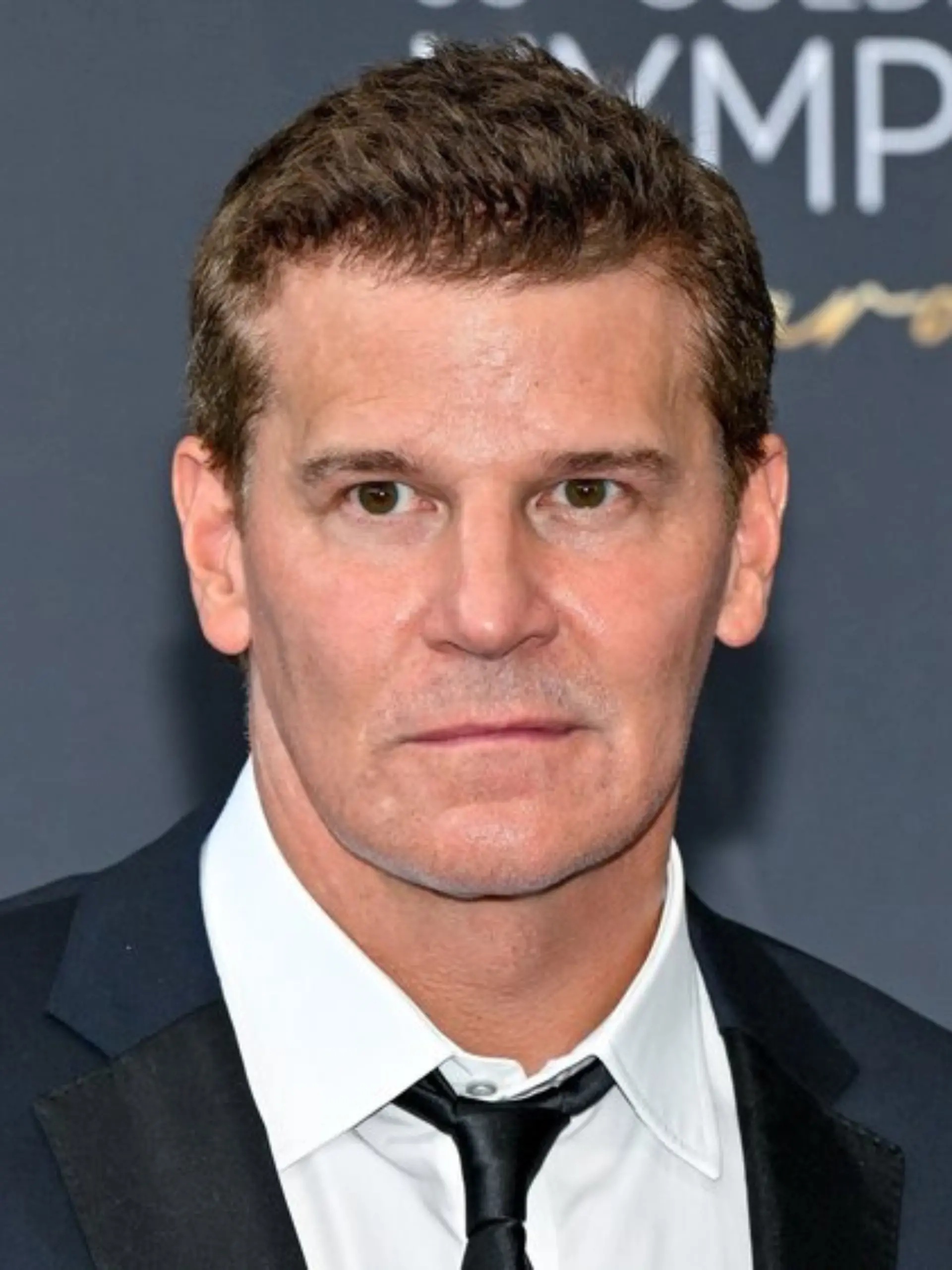 David Boreanaz ist mit seinem Schauspielkollegen Chad Lowe befreundet, dessen Tochter mit nur 13 Jahren gestorben ist.