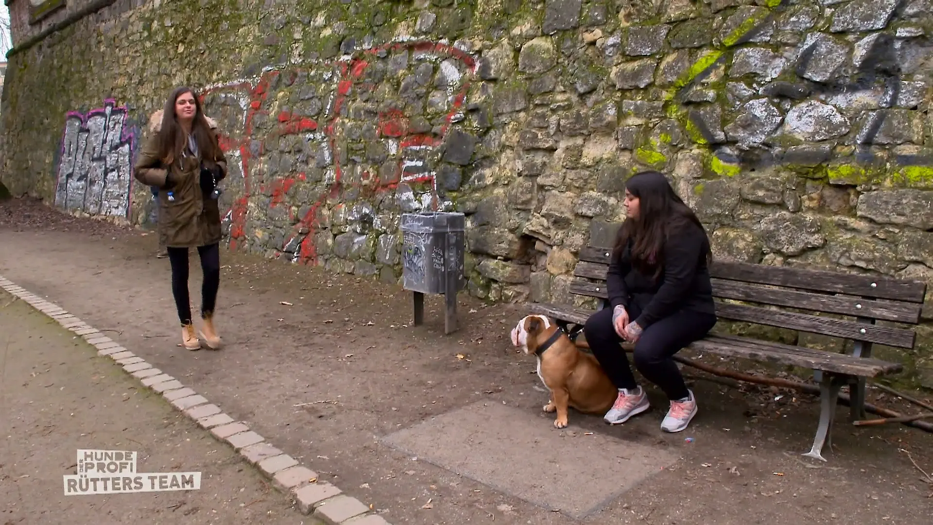 Wie gefährlich ist Bulldogge Hansi draußen wirklich? Totale Anspannung