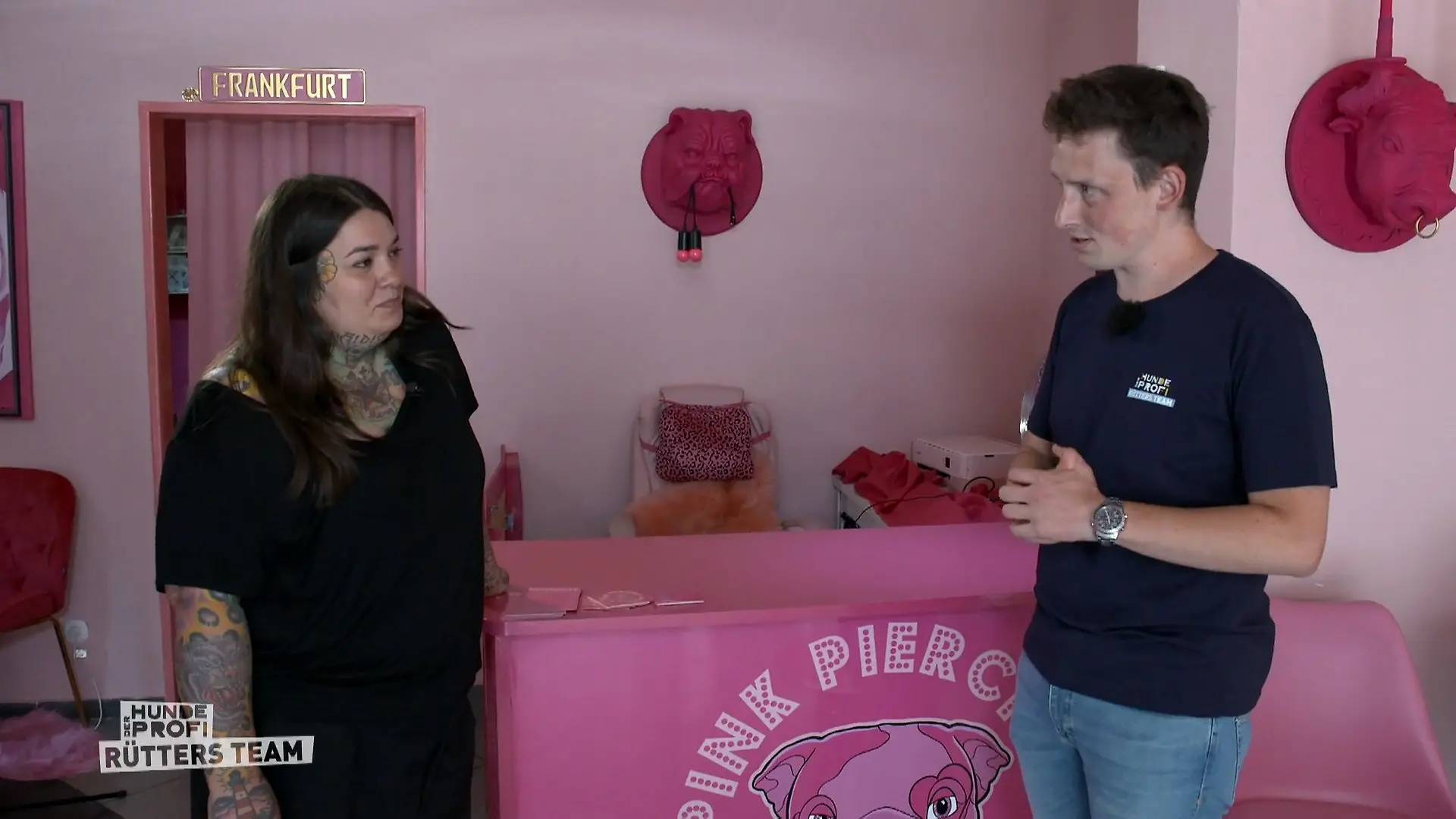 Wie geht es für Pöbel-Bulldogge Hansi weiter? Hat Sheila genug geübt?