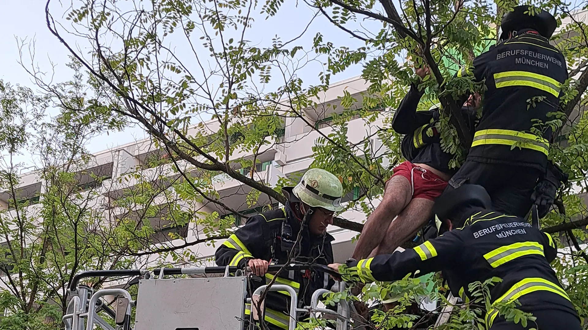 Kurioser Notruf am Donnerstagmorgen (1. Oktober 2026) bei der Feuerwehr München: Ein Mann hat sich in circa fünf Metern Höhe in einer Astgabel eines Baumes verfangen und mehrere Stunden in dieser misslichen Lage verweilen müssen.
