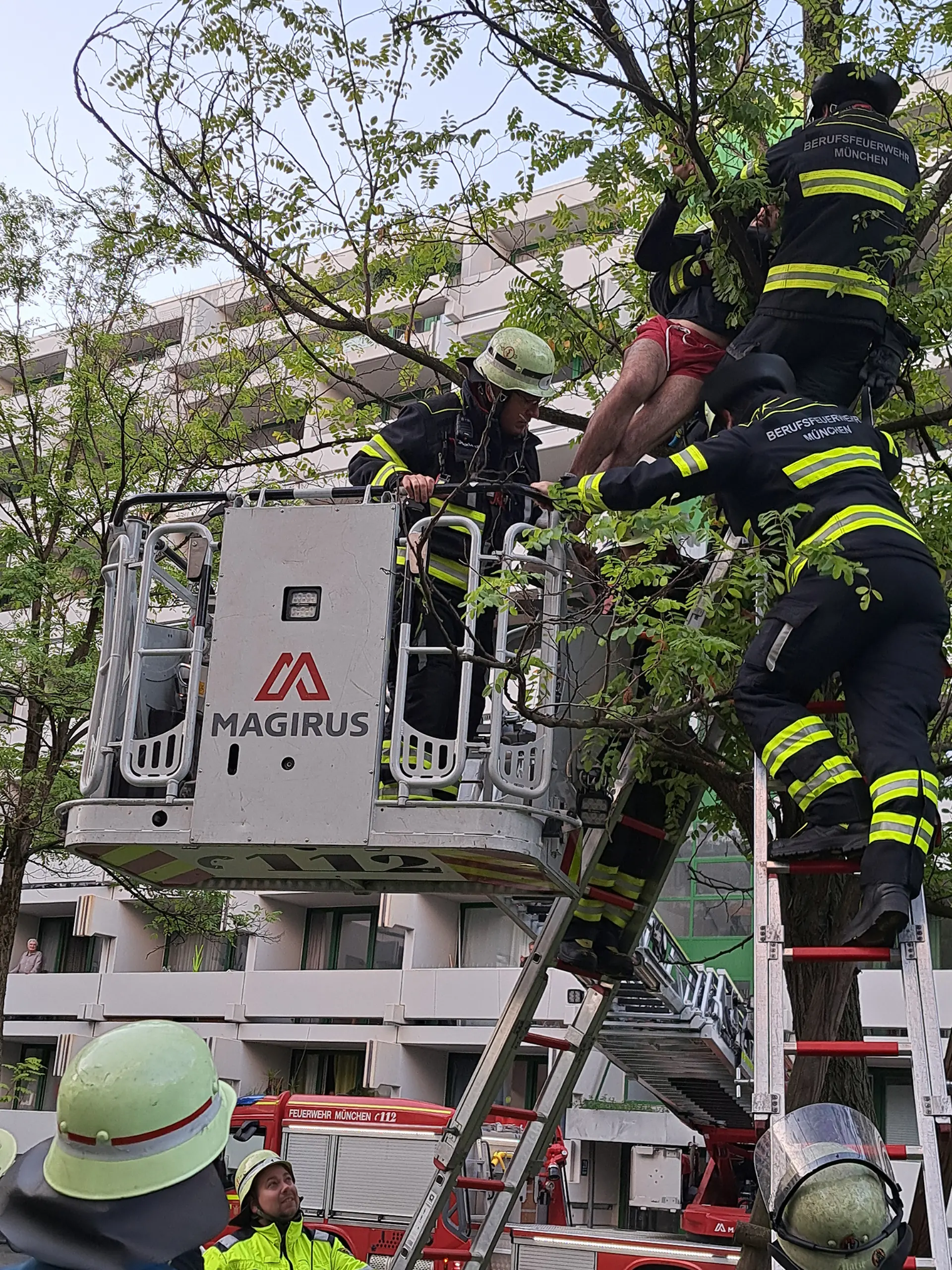 Kurioser Notruf am Donnerstagmorgen (1. Oktober 2026) bei der Feuerwehr München: Ein Mann hat sich in circa fünf Metern Höhe in einer Astgabel eines Baumes verfangen und mehrere Stunden in dieser misslichen Lage verweilen müssen.
