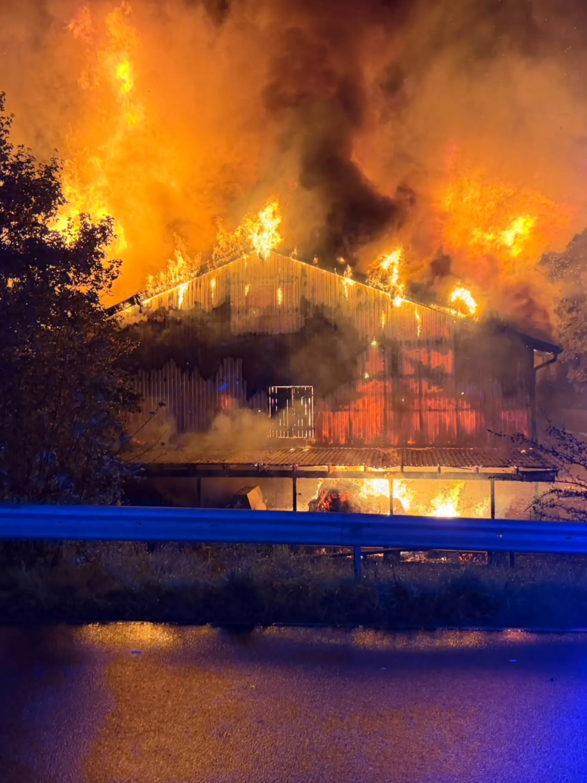Bild zu: "Flammenhölle im Stall, 30 Kälber sterben"