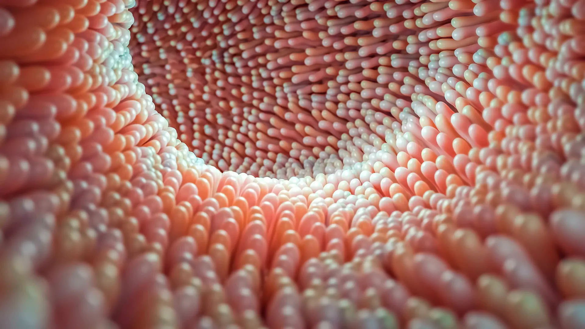 Intestinal microvilli close-up 3D rendering illustration. Microbiology, anatomy, biology, science, medicine, medical and healthcare concepts.