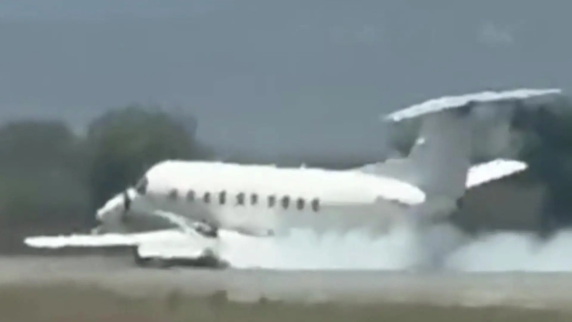 Bild von Nach Zusammenstoß mit Zebra! Safari-Flieger muss auf dem Bauch landen